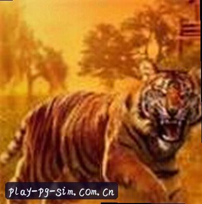 马超